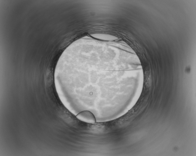 X0000116650471201001251200