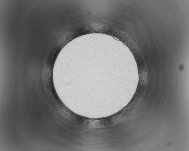 X0000116650472201001251200