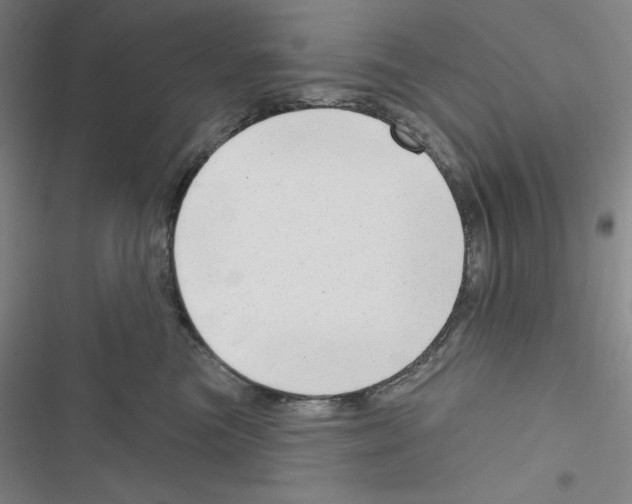 X0000116650473201001251200