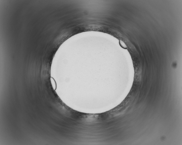 X0000116650474201001251200