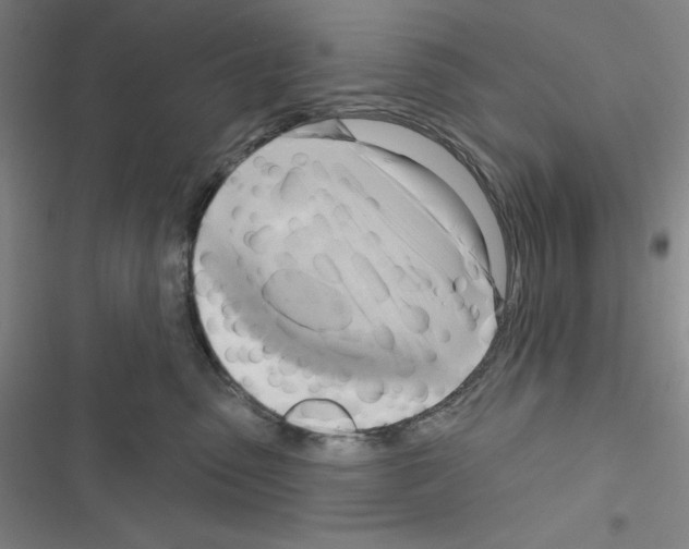 X0000116650475201001251200