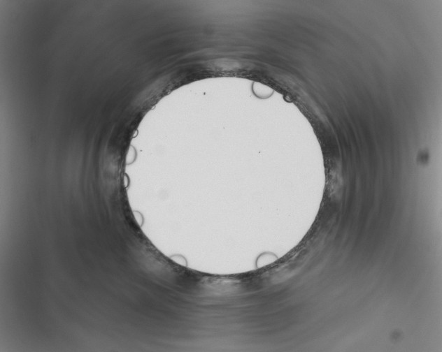 X0000116650476201001251201