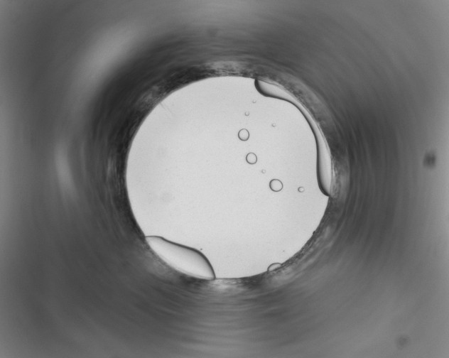 X0000116650477201001251201