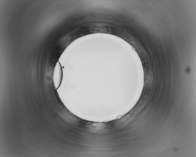 X0000116650478201001251201