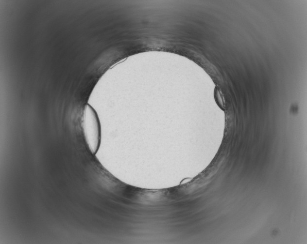 X0000116650479201001251201