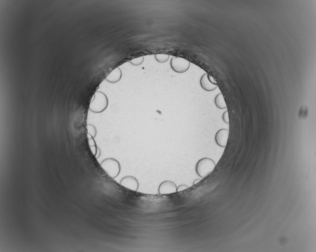 X0000116650480201001251201