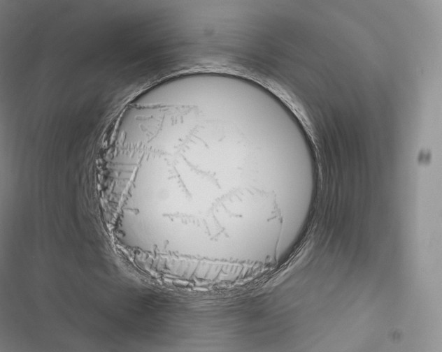 X0000116650481201001251200
