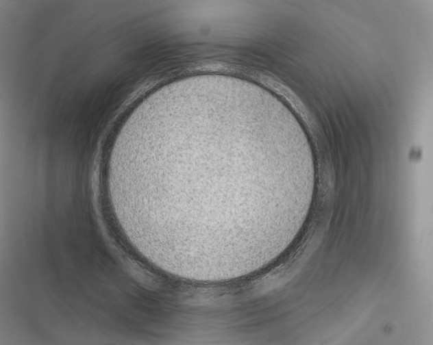 X0000116650482201001251200