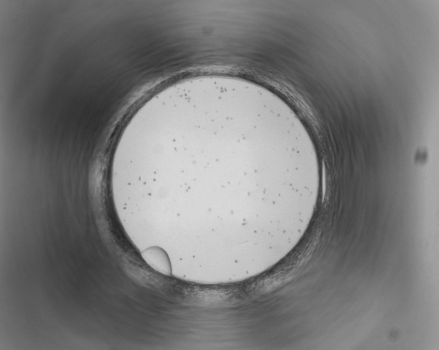 X0000116650483201001251200