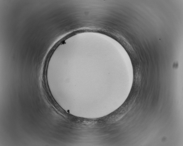 X0000116650484201001251200