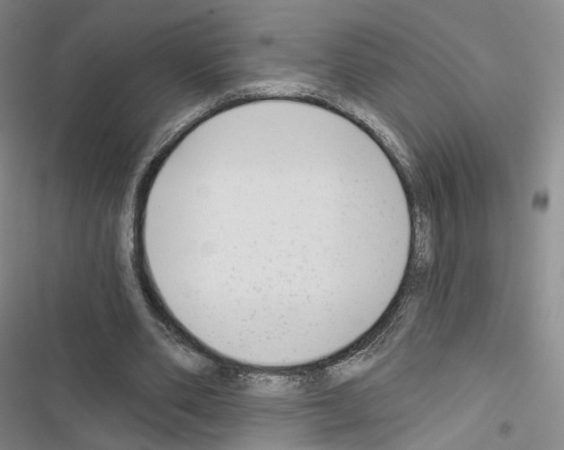 X0000116650486201001251200