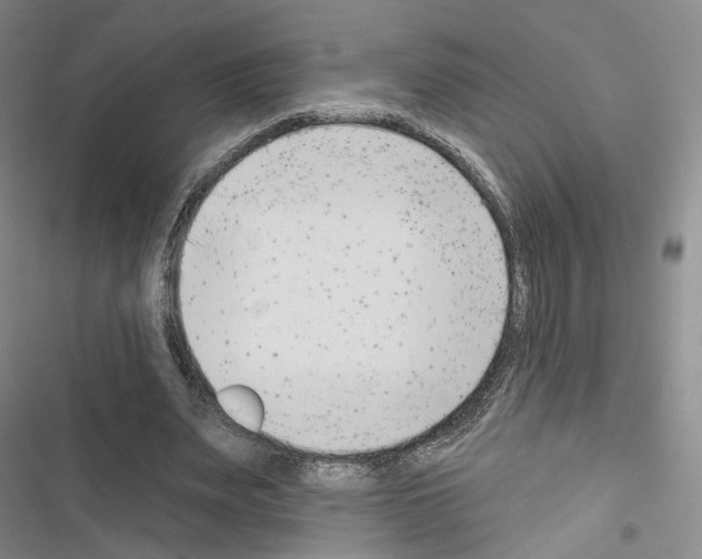 X0000116650487201001251200