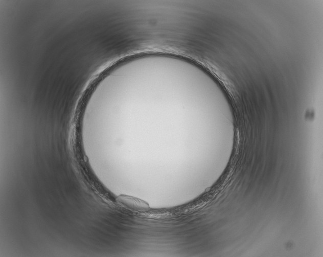 X0000116650488201001251200