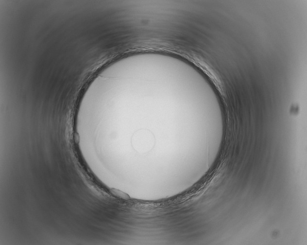 X0000116650489201001251200