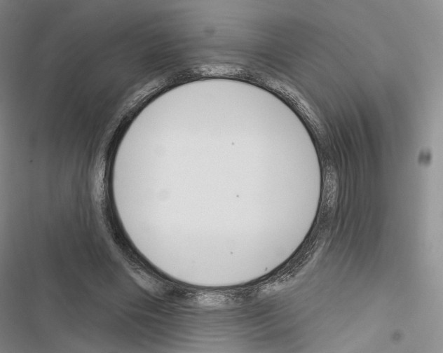X0000116650490201001251200