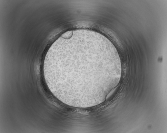X0000116650491201001251200