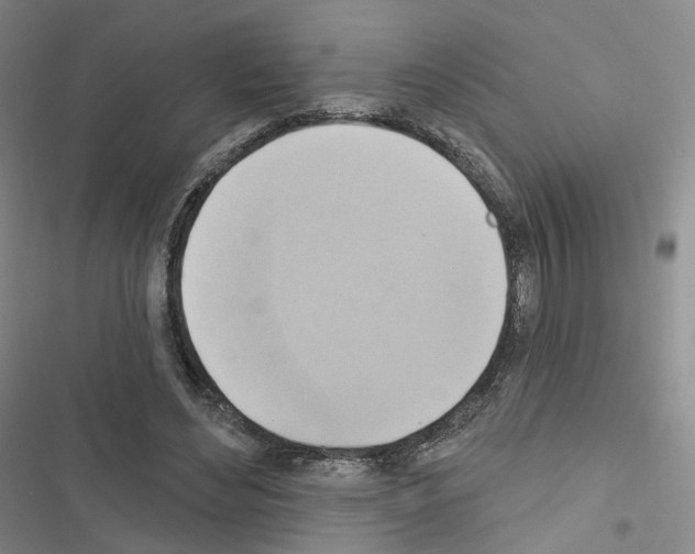 X0000116650492201001251200