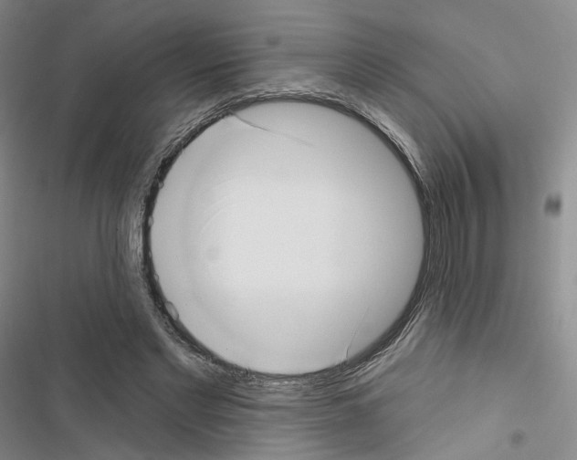 X0000116650493201001251200