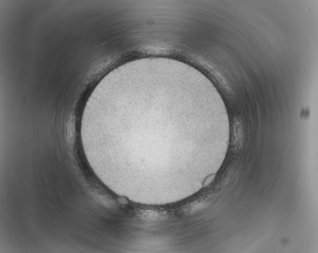 X0000116650494201001251200