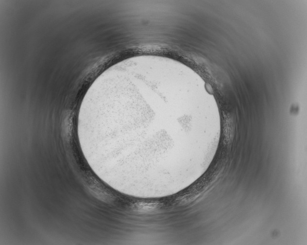 X0000116650495201001251200