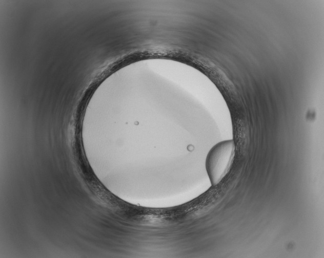 X0000116650496201001251200