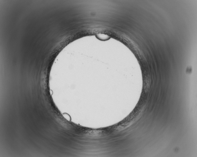 X0000116650497201001251200