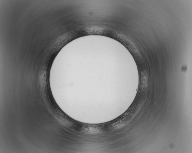 X0000116650498201001251200
