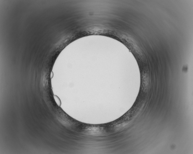 X0000116650499201001251200