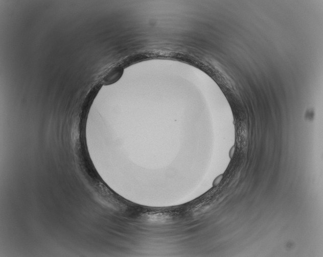 X0000116650500201001251200
