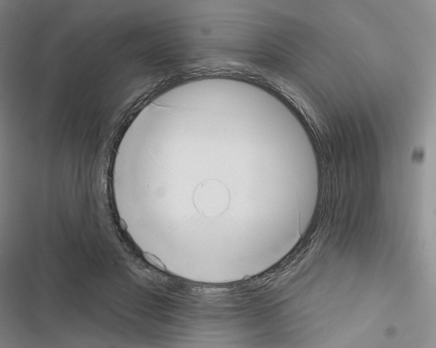 X0000116650501201001251200