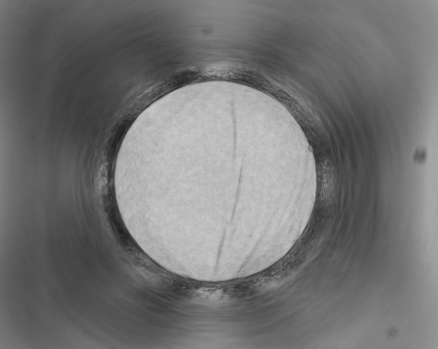 X0000116650502201001251200