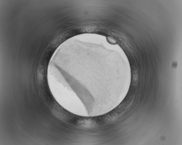 X0000116650503201001251200