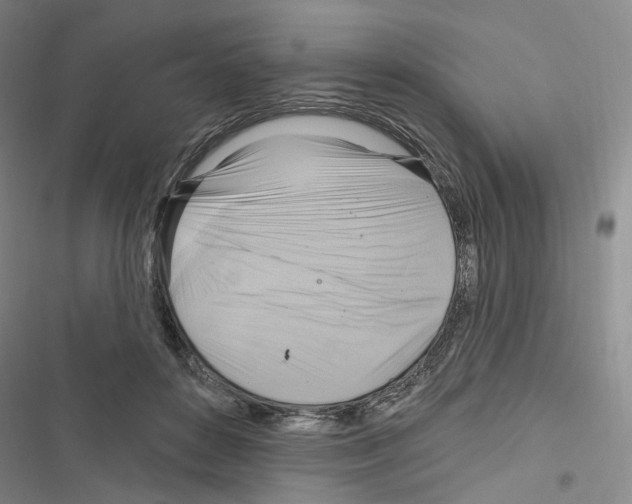 X0000116650504201001251200