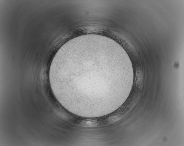X0000116650506201001251200