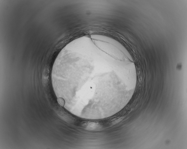 X0000116650507201001251200