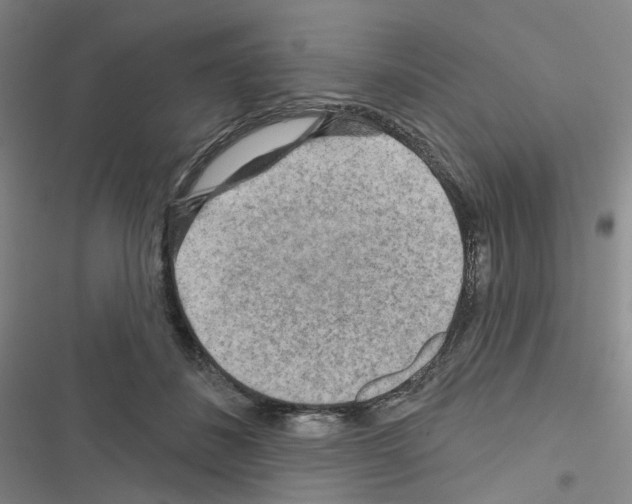 X0000116650508201001251200