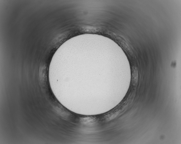 X0000116650511201001251200