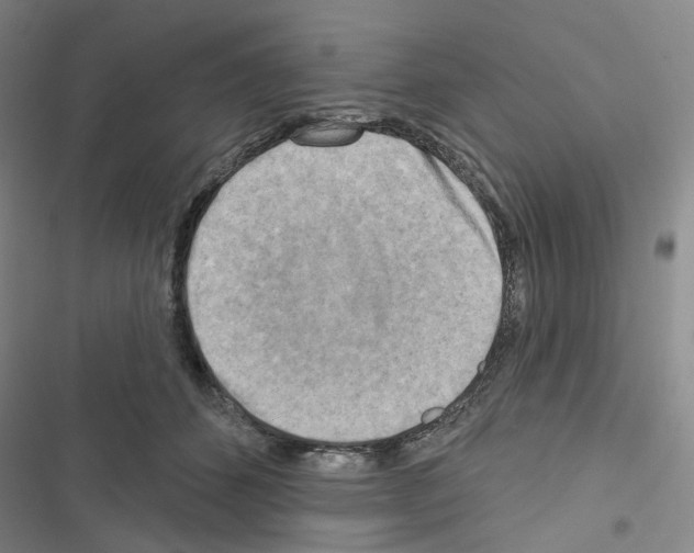 X0000116650512201001251159
