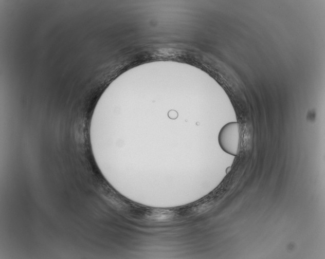 X0000116650514201001251159