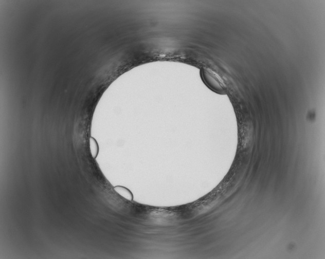 X0000116650515201001251159
