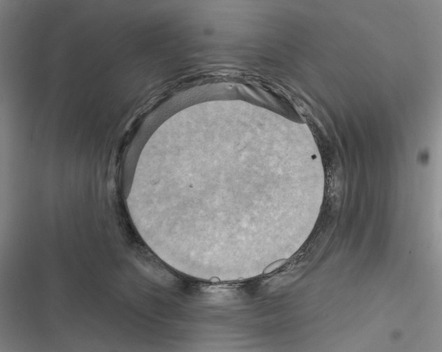 X0000116650516201001251159