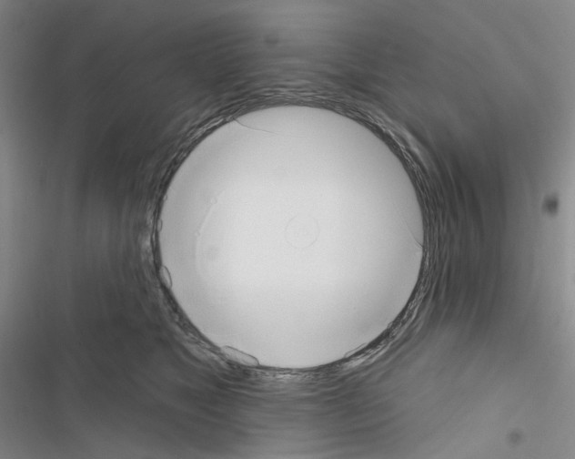 X0000116650517201001251159