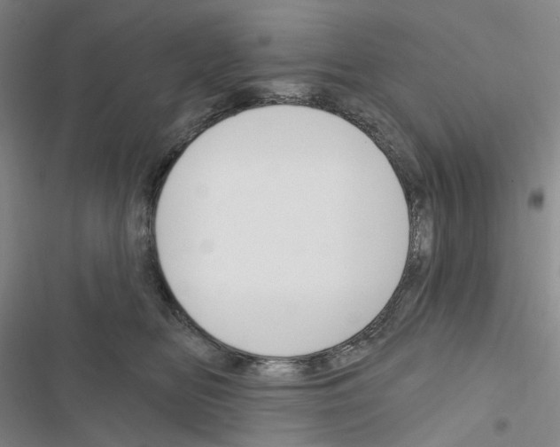 X0000116650518201001251159