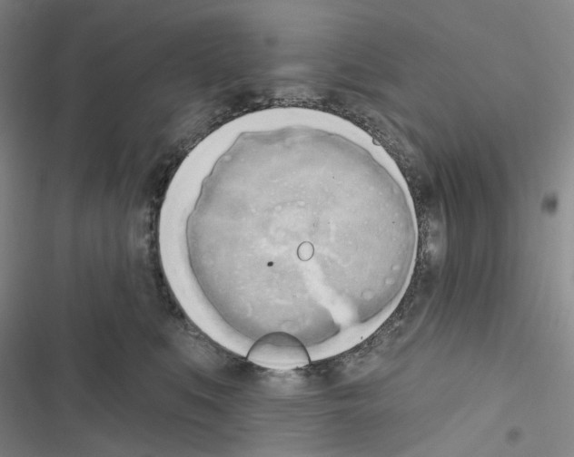 X0000116650519201001251159