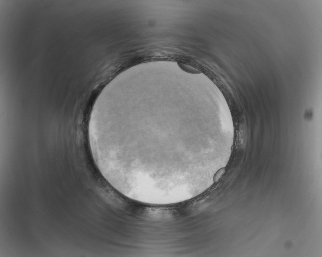 X0000116650520201001251159