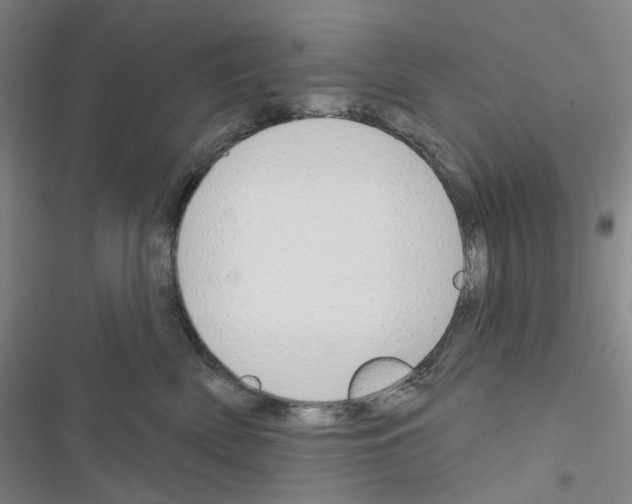 X0000116650522201001251159