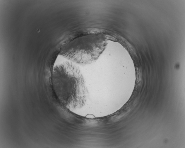 X0000116650523201001251159