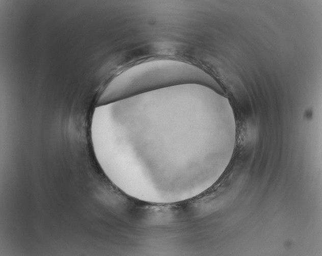 X0000116650524201001251159