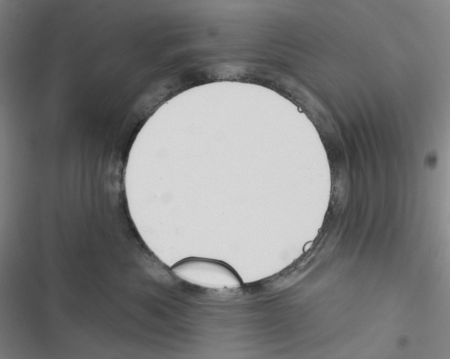 X0000116650525201001251159