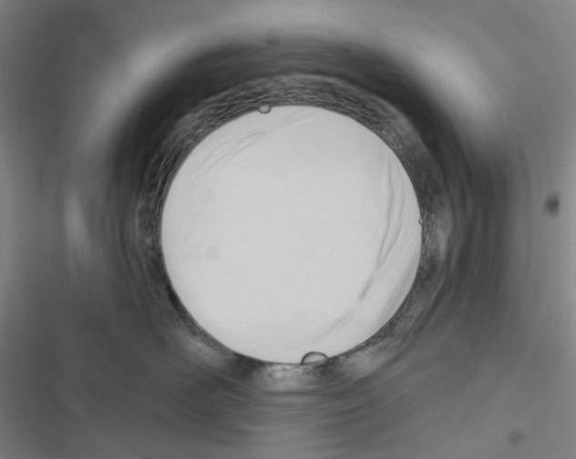X0000116650526201001251159